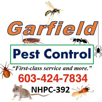 Pest Control Salt Lake City