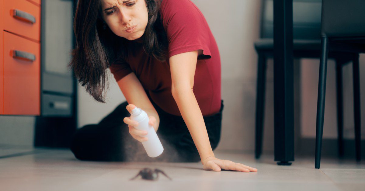 10 Natural Ways to Repel Ants