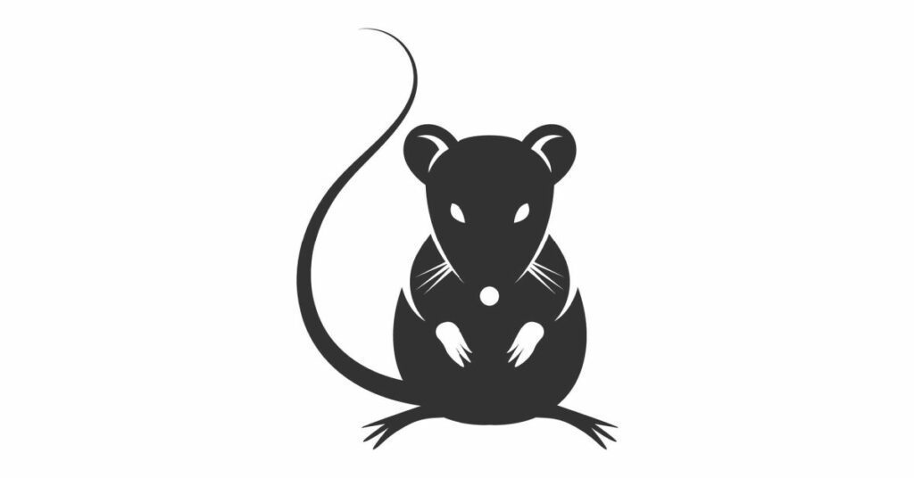 How To Manage Rodents in NH