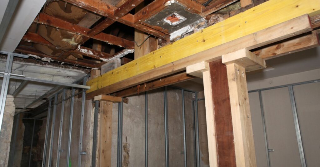 Do you Have Termites? What to Know and Who to Call